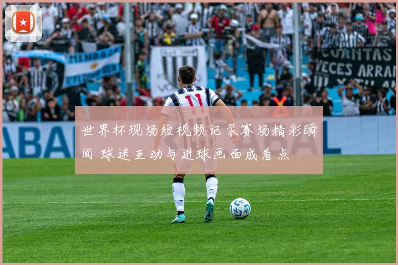 世界杯现场短视频记录赛场精彩瞬间 球迷互动与进球画面成看点