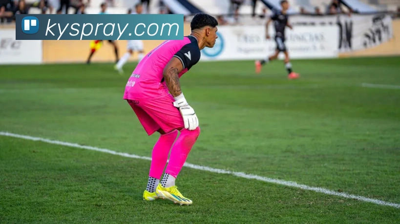 问鼎在线登录入口APP 封面图